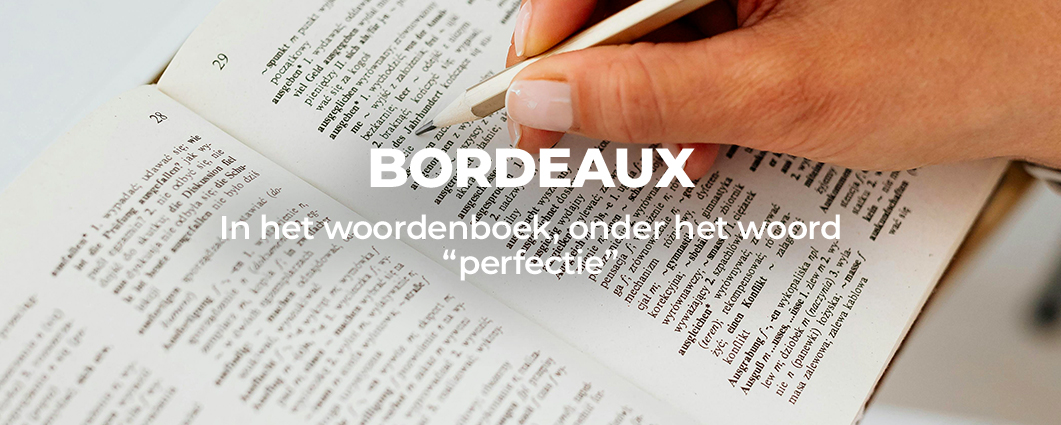 Ontdek de actie 