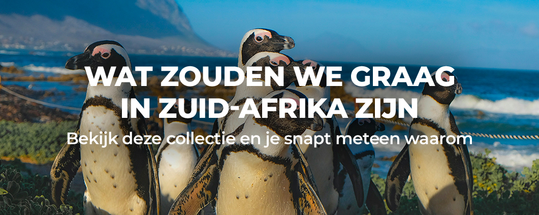 WAT ZOUDEN WE GRAAG IN ZUID-AFRIKA ZIJN