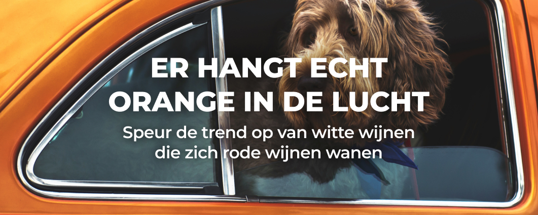 ER HANGT ECHT ORANGE IN DE LUCHT