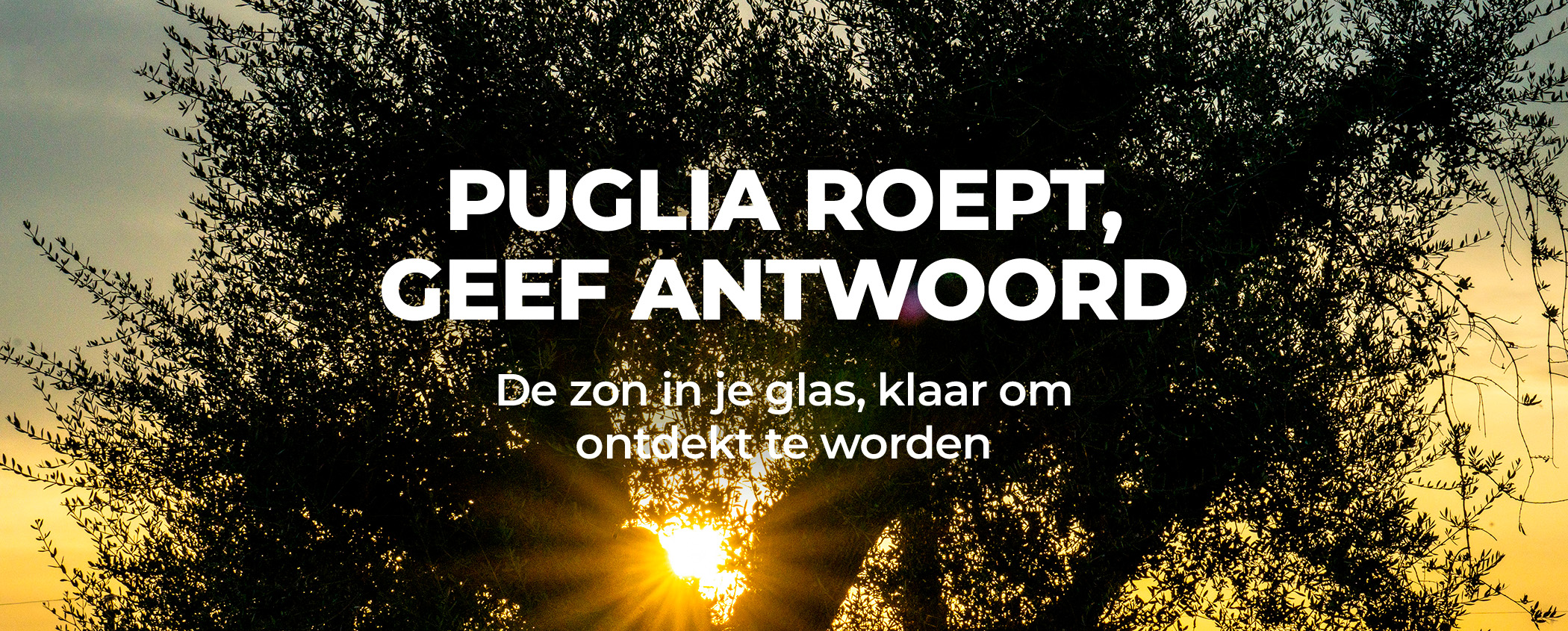Probeer PUGLIA ROEPT, GEEF ANTWOORD