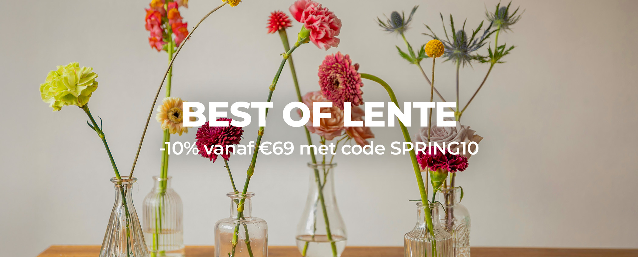 Probeer BEST OF LENTE