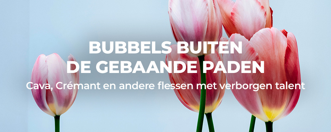 Ontdek de BUBBELS BUITEN DE GEBAANDE PADEN