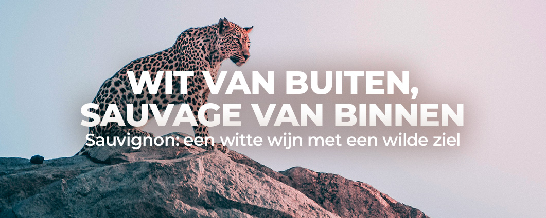 LAAT JE SAUVAGE ZIEL LOS