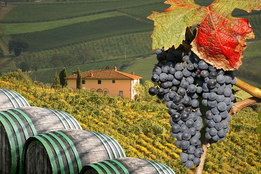 chianti produzione e tipologie